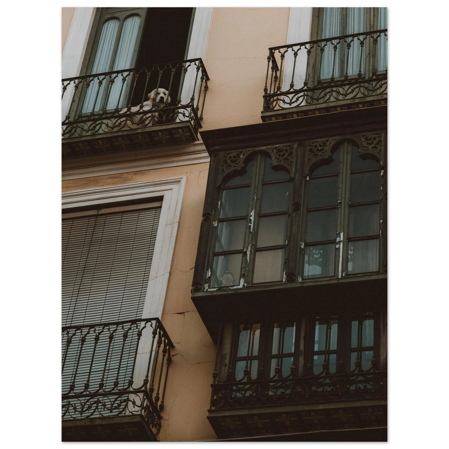 58034707-29c1-4d6a-9ca7-14cccf81c8fc