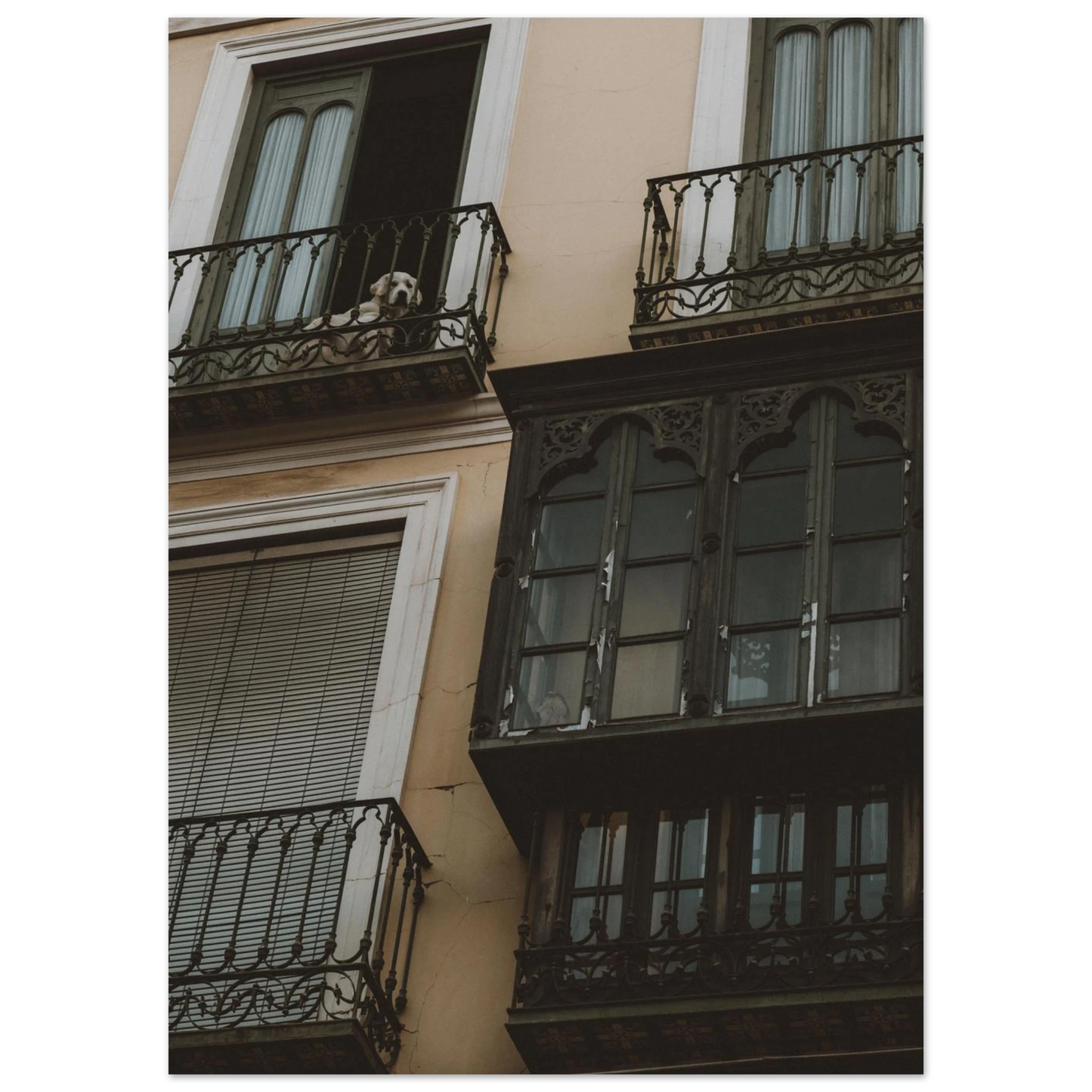 c0218738-ca1b-4447-b4d7-ac7c707b06c1