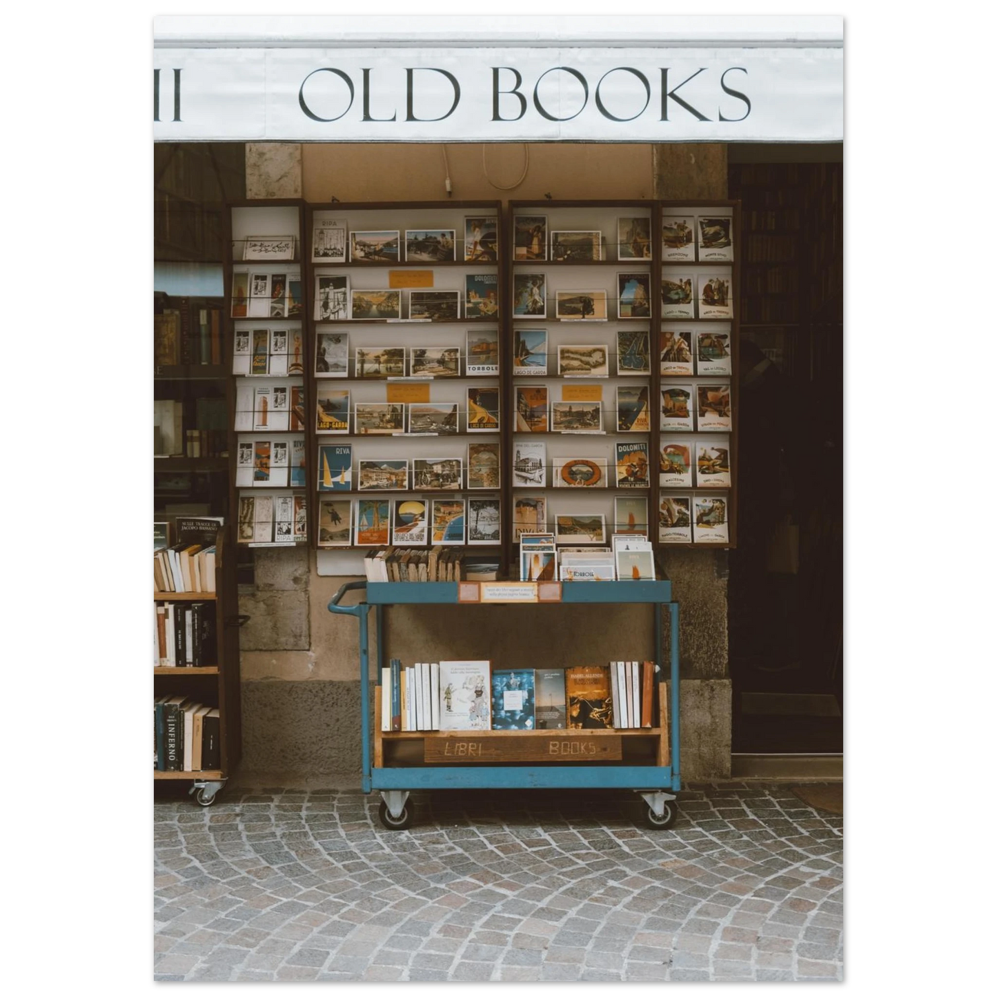 e8a206c8-3d68-4f12-8261-274a9ec60ca4