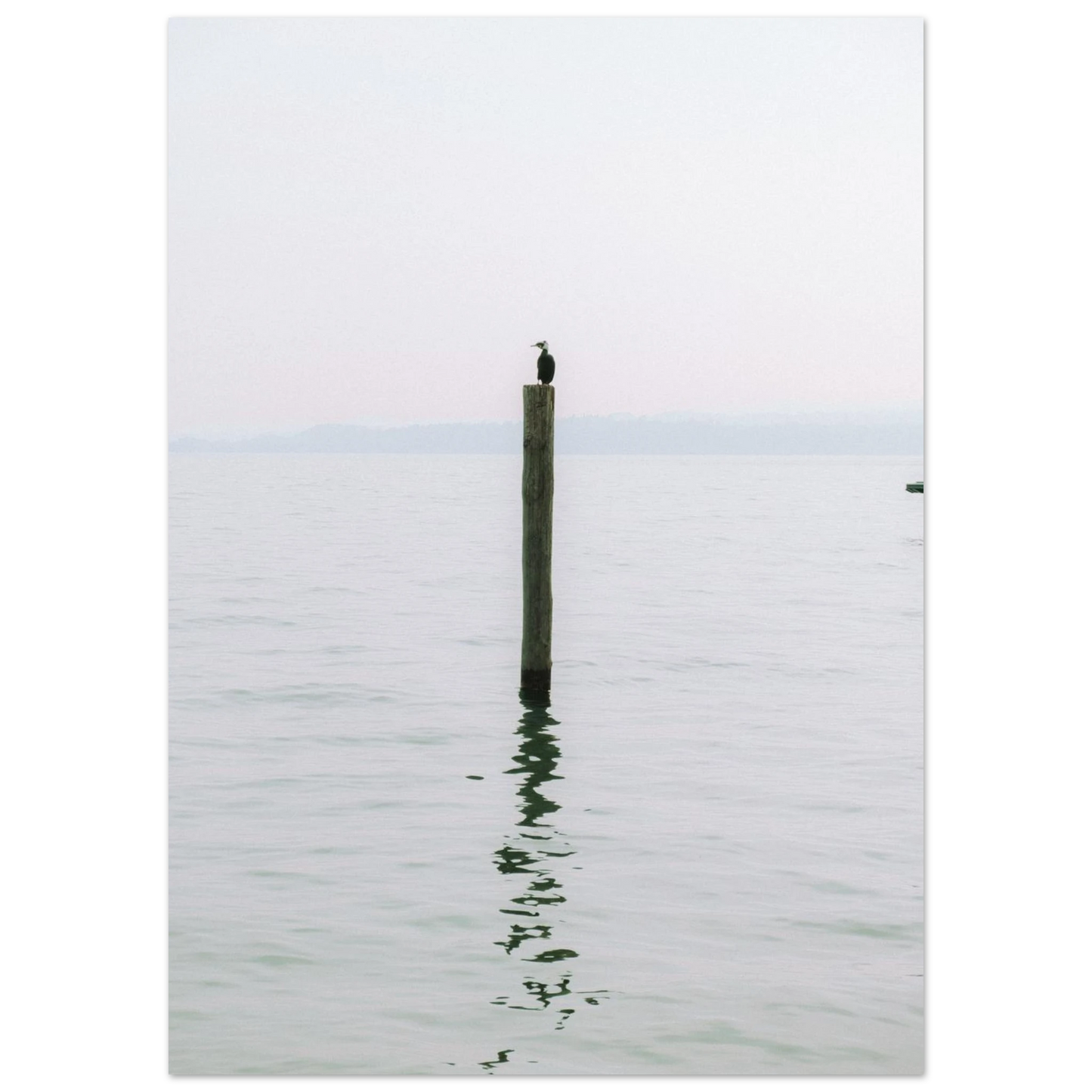 1572a81c-c6c8-4cd4-820d-1c64a4c53d9f