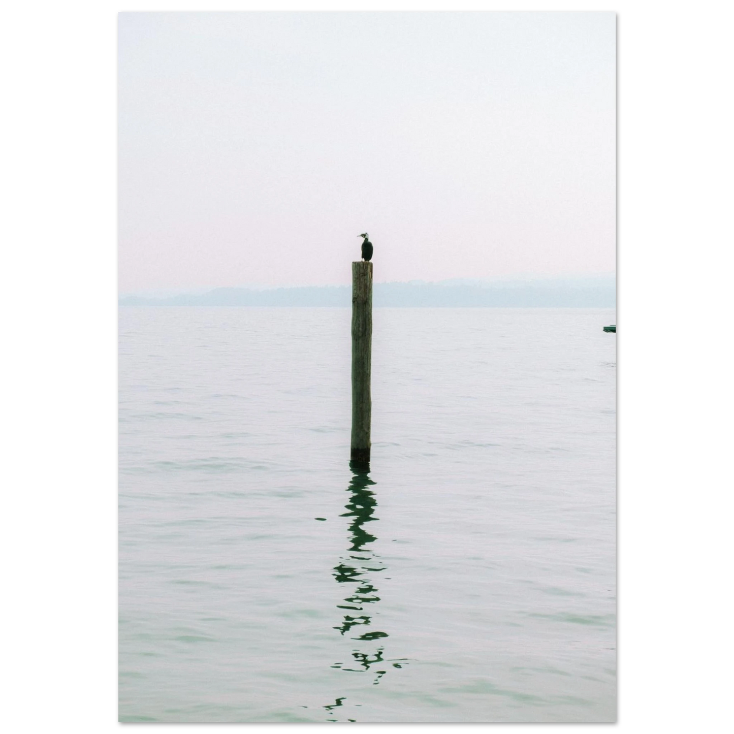 170272a5-e358-4b8f-9dd8-6afee243abf1