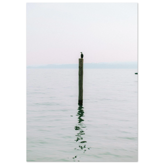 170272a5-e358-4b8f-9dd8-6afee243abf1