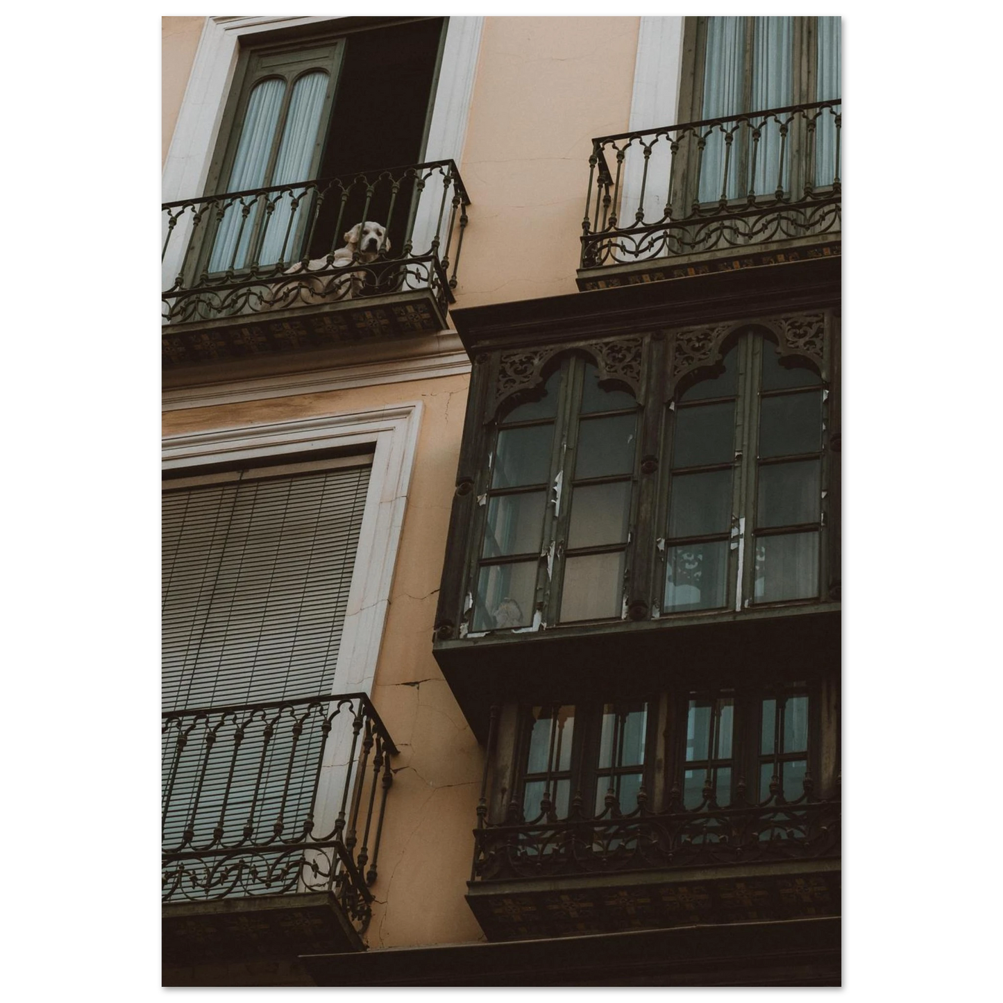 1a966169-675b-445a-a82b-0050b871a91c