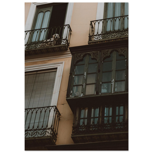 1a966169-675b-445a-a82b-0050b871a91c