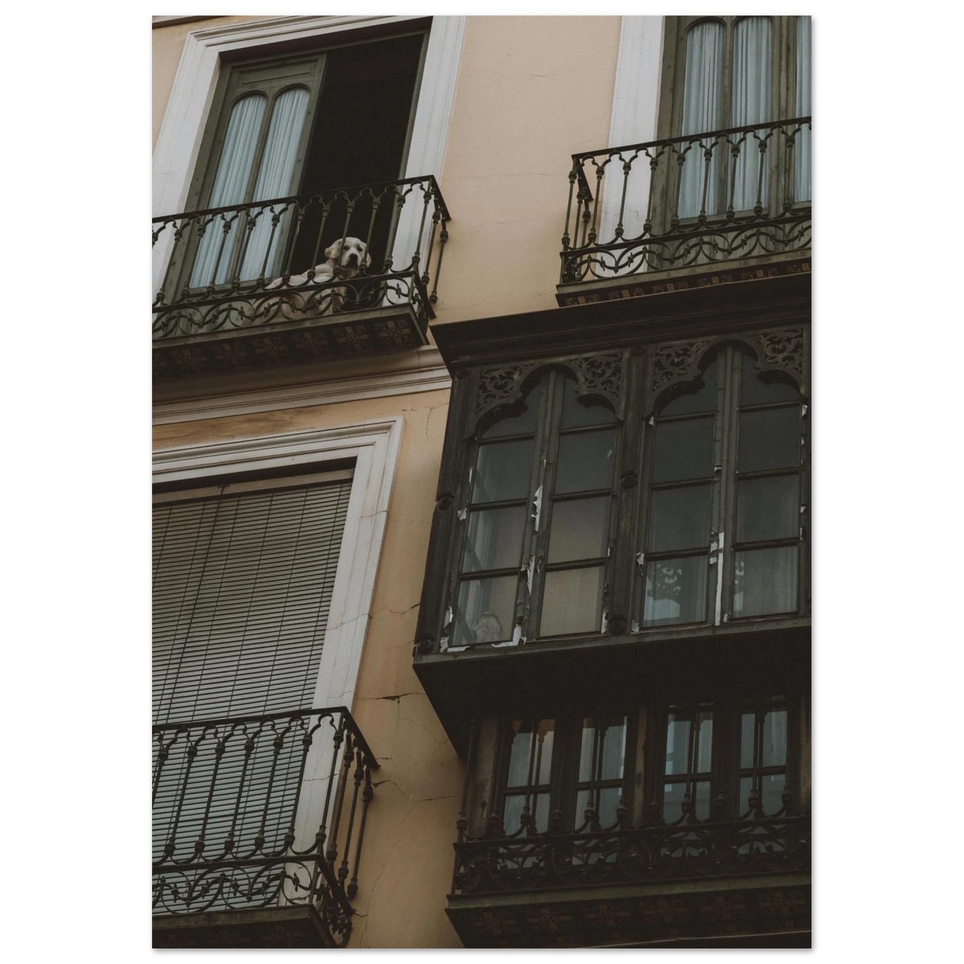 51d449c3-8cc2-4527-b11a-72d3d5921a8f