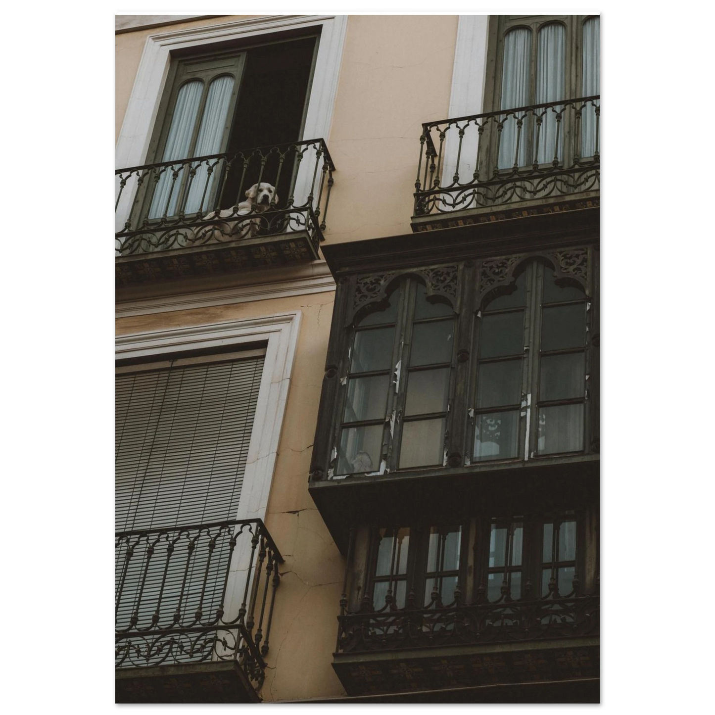 61c2bc7c-f97b-4f5a-b6e0-d5b208cbea70