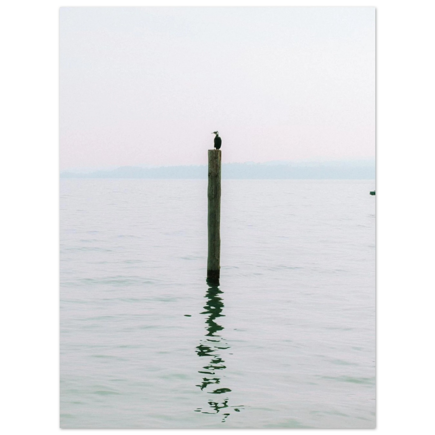 a3abe491-30fb-4816-adc2-382780328817