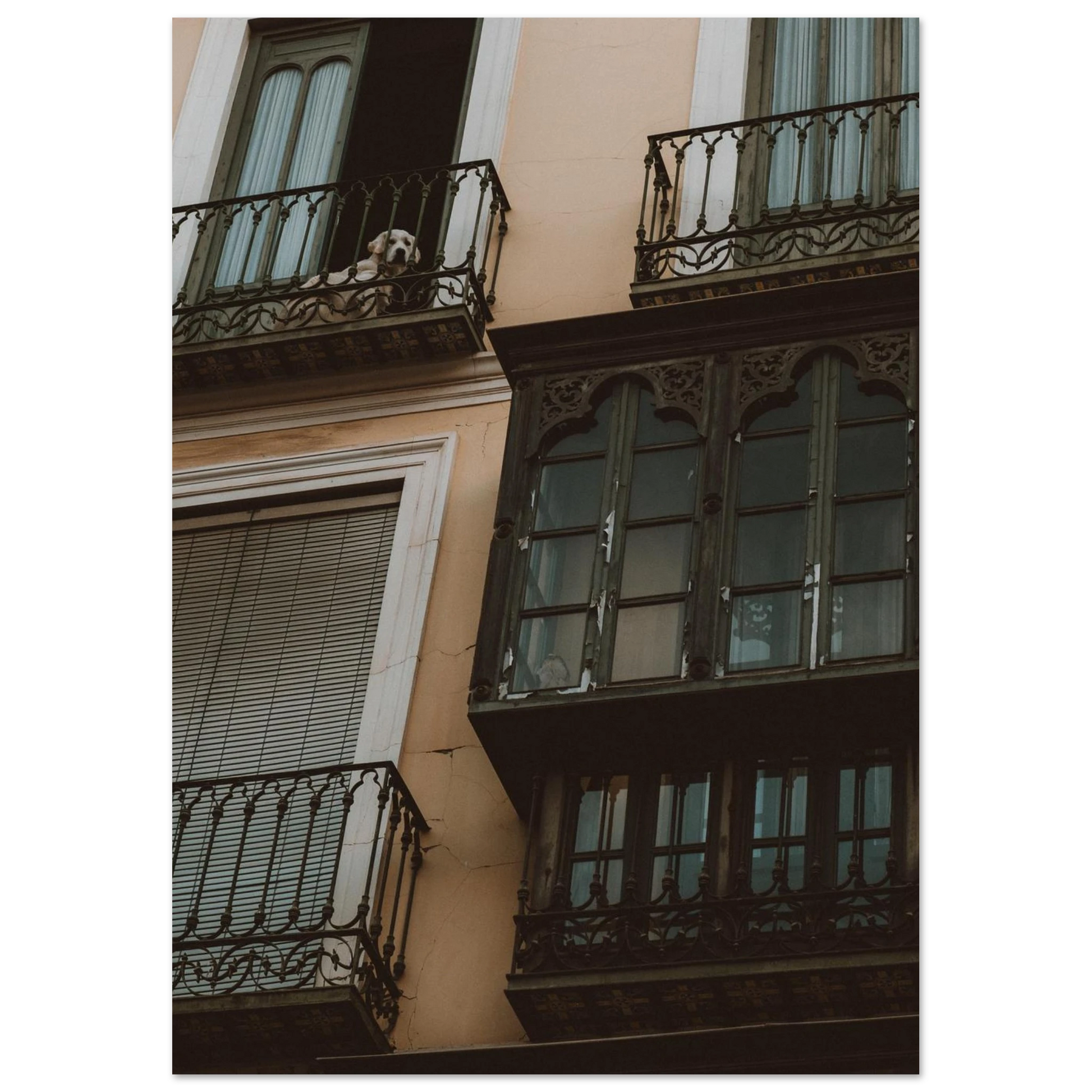 b3b19865-a8a8-4a86-b524-1b887aa14b10