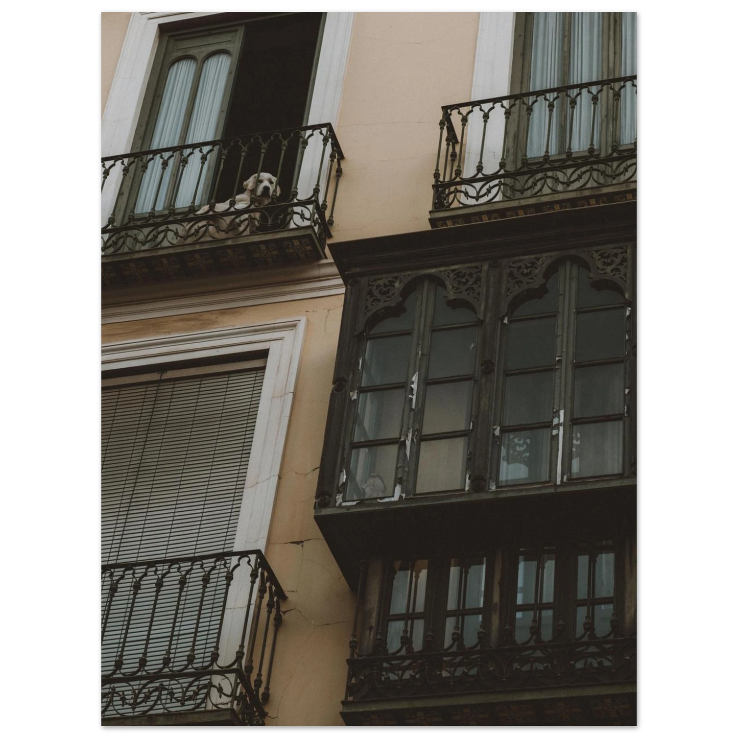 bc3294c5-8803-4ca4-b799-0536ef344038