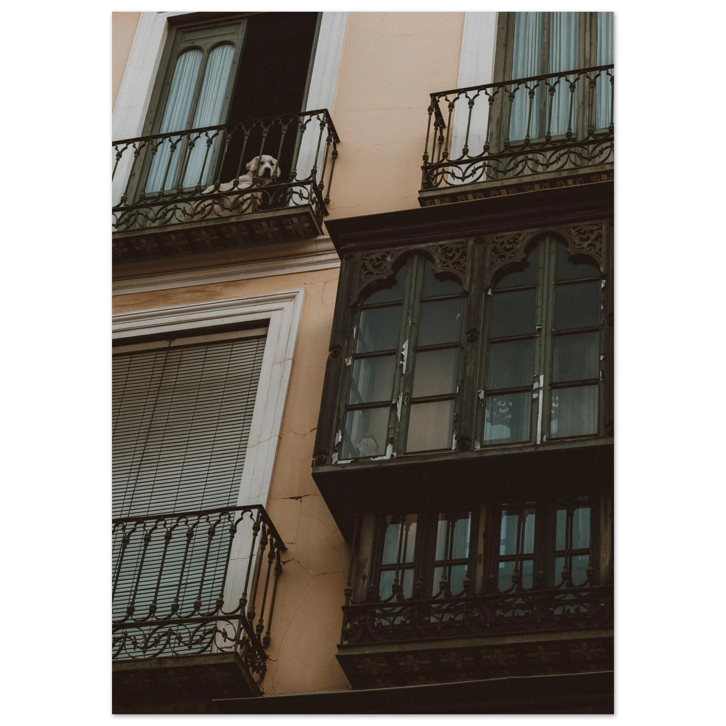 cf784470-54df-4ded-904f-3c669acfc1b9