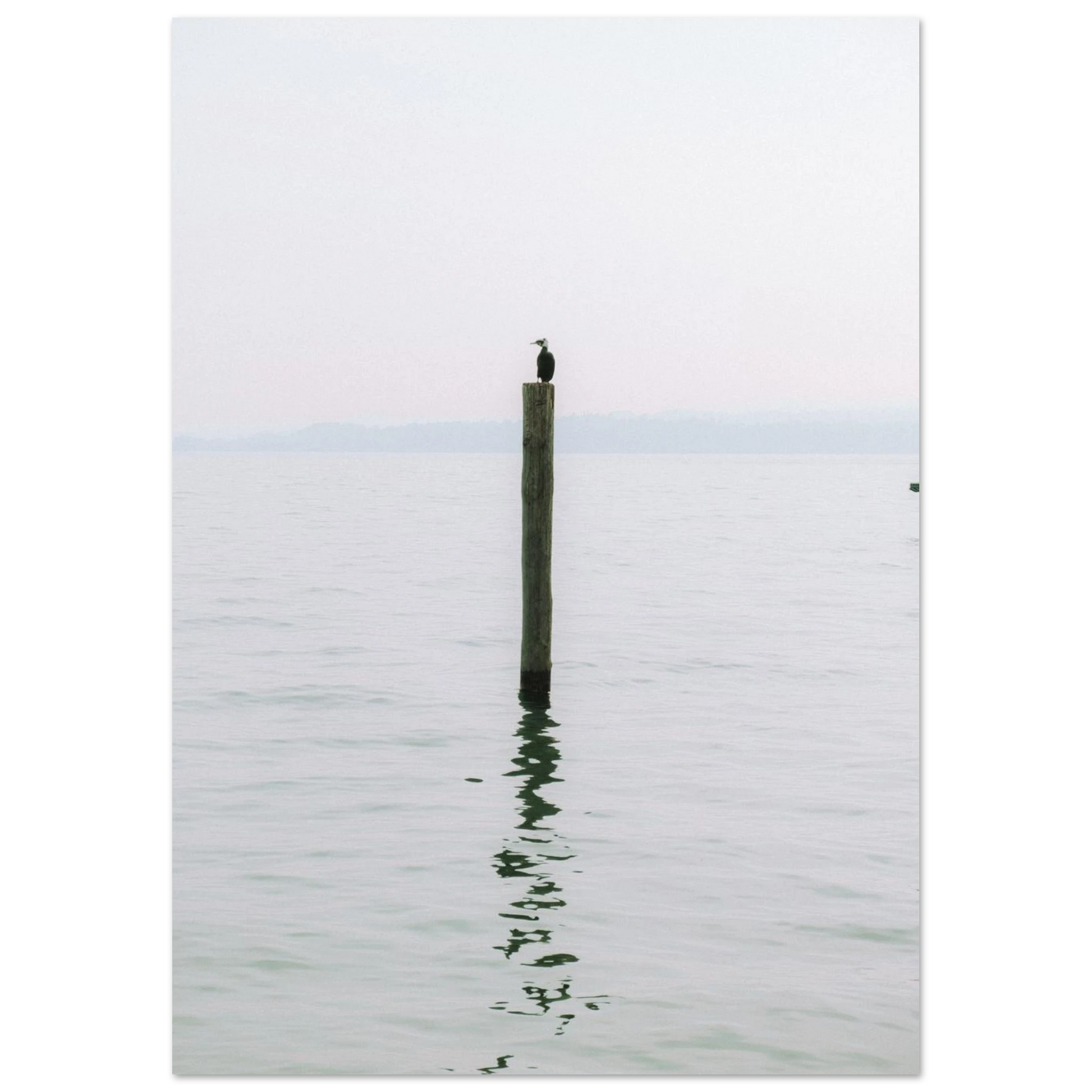 dd06cdcb-3ab8-4fbe-946b-e74f33948a89