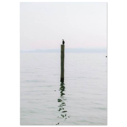 dd06cdcb-3ab8-4fbe-946b-e74f33948a89