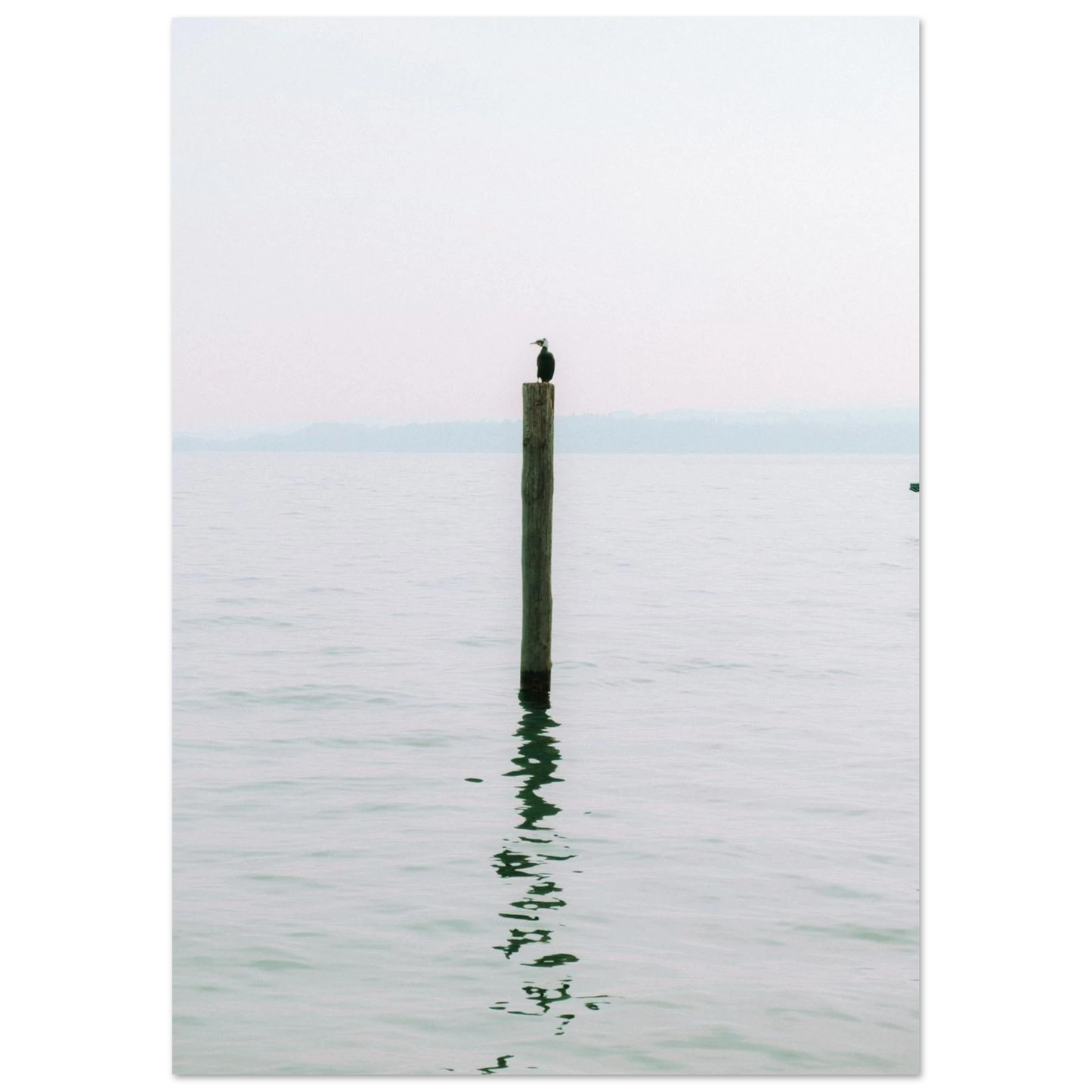 e97e7274-6e8d-42d4-8da3-a6544ecee3a3