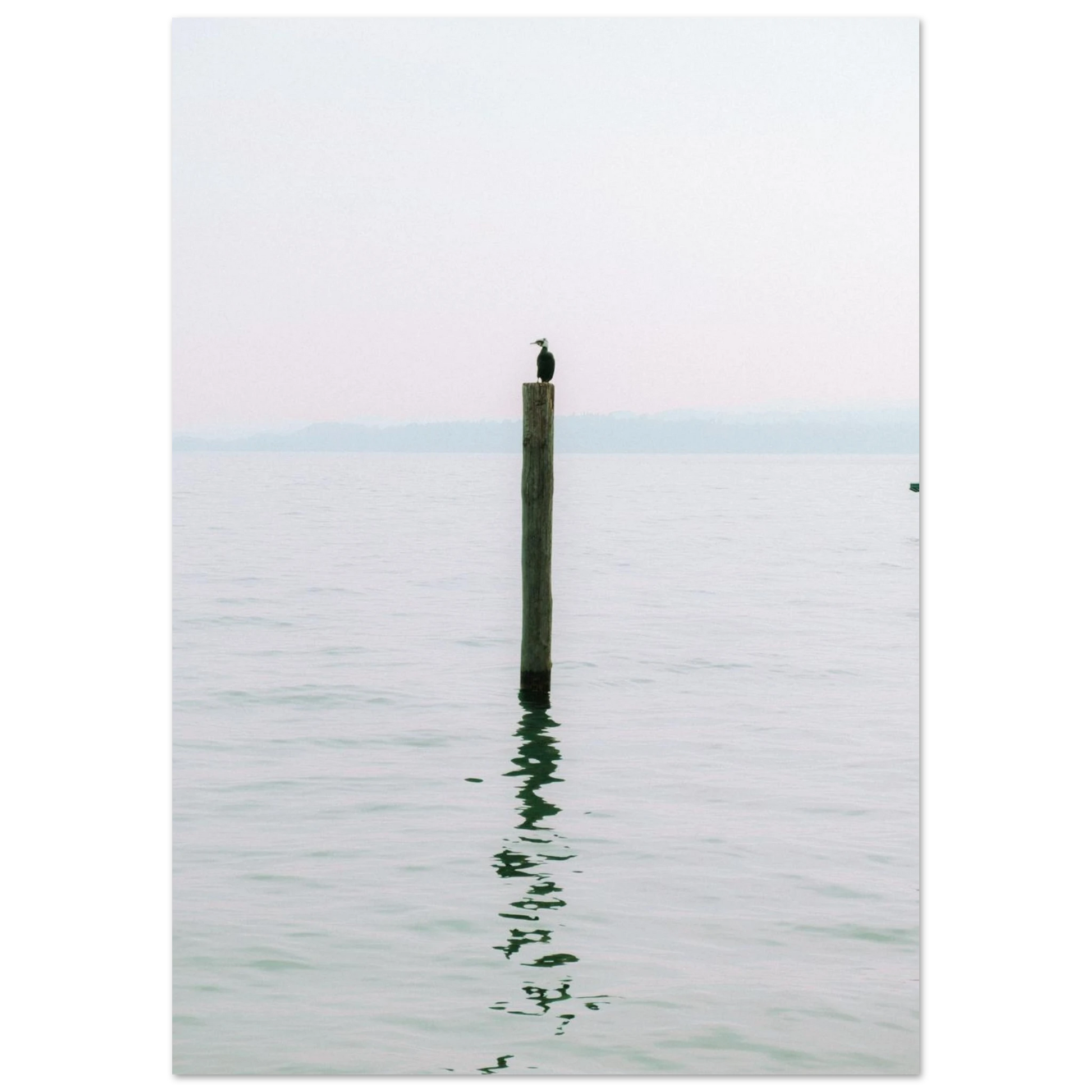 e97e7274-6e8d-42d4-8da3-a6544ecee3a3