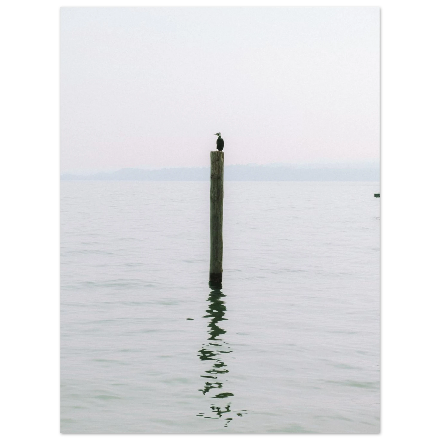 ea1fffd0-02f6-431f-bb19-75f8c1111134